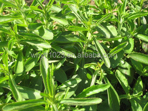 Low Price China Wholesale Organic Sweetener Powder Stevia