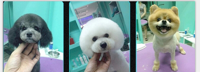 ペットの犬の充電式バリカン/ヘアトリマー 問屋・仕入れ・卸・卸売り