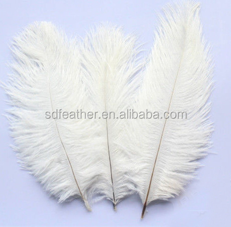ダチョウの羽のために十分な在庫販売の羽素材のパーティー/結婚式の装飾ダチョウの羽問屋・仕入れ・卸・卸売り