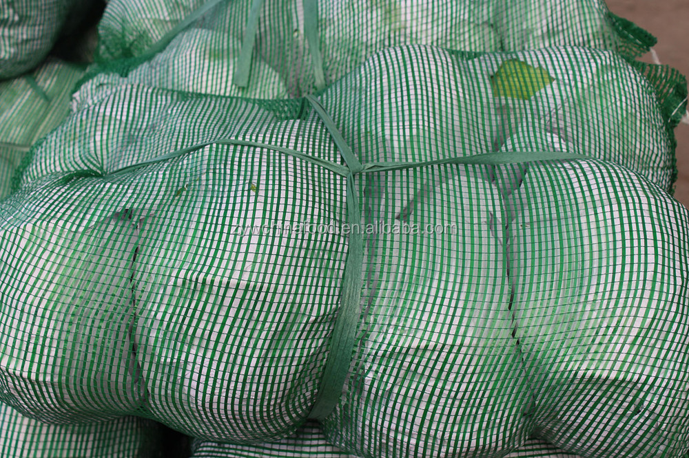 Fresh Green/Red Cabbage New Corp Cabbage Hot Sale