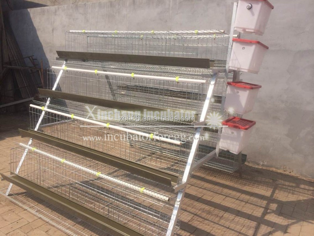 4 layers chicken cage 4 - .jpg