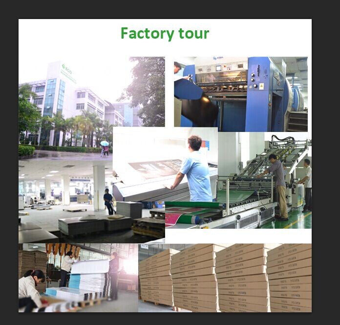High Quality Cardboard Countertop Display for Lollipop Display