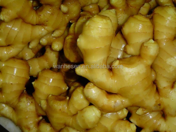 2014 High Quality New Crop Fresh ginger export For UK,CANADA,USA and EU Market 1kg fresh ginger pric