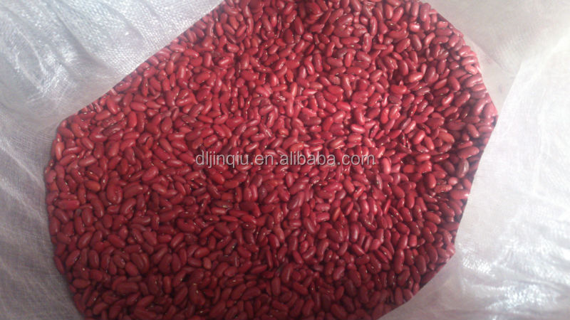 new crop Dark red kidney bean