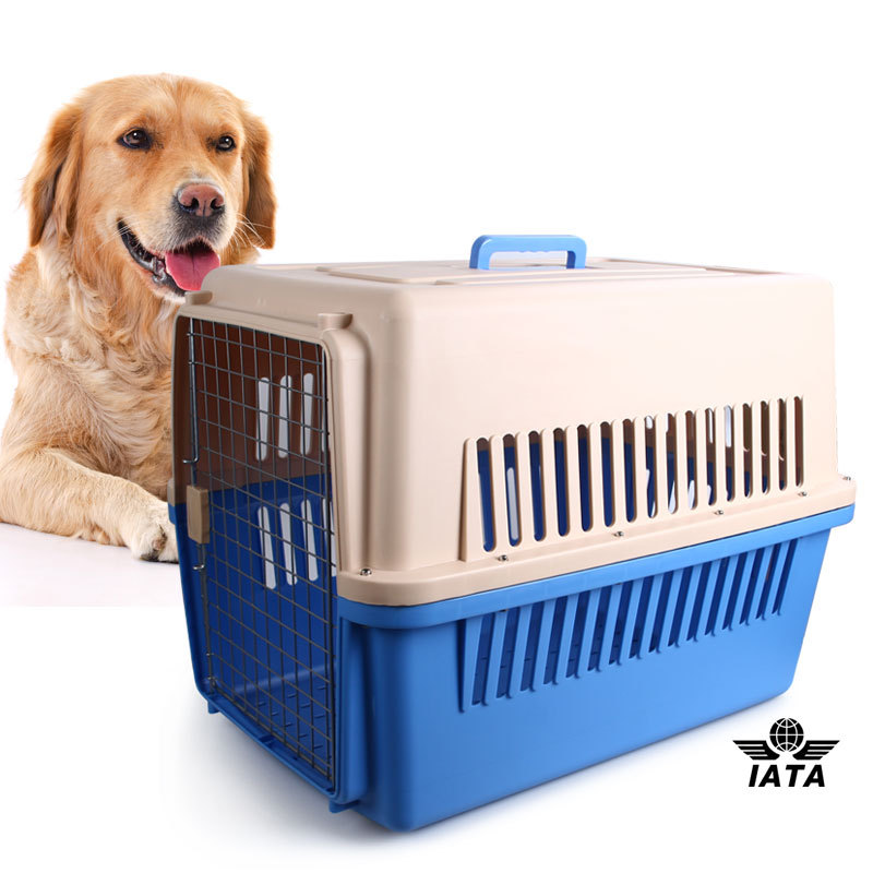 Dog Shaped Plastic Boxes Plastic Dog Box Dog Travel Box Buy Dog