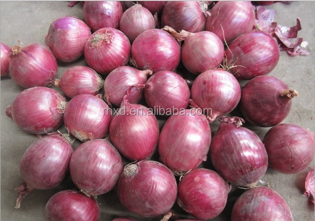 fresh onion 2014 new crop onion with lowest price