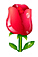 rose
