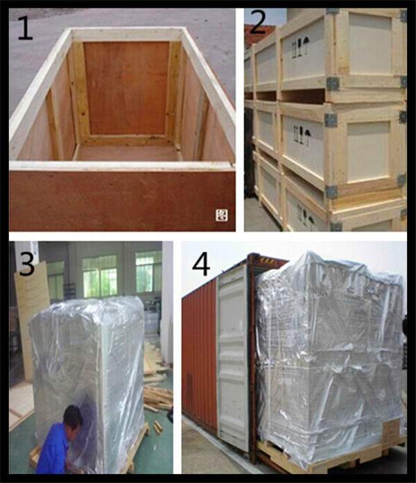 high efficient onion/cumin simmondsia chinensis/cinnamon/rhodiola rosea/ seed oil extract machine