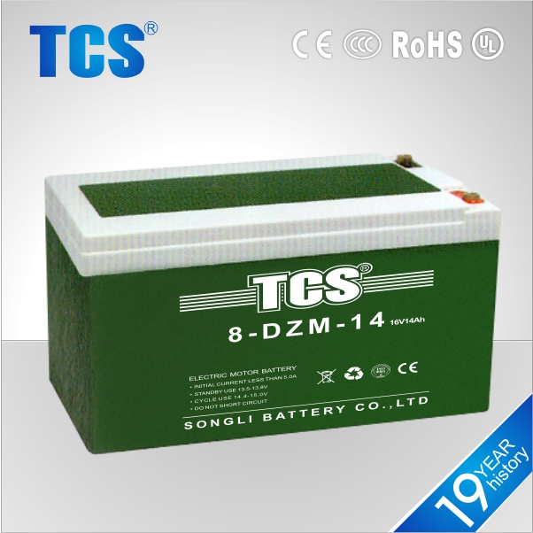 Tcs熱い販売電動バイク6-dzm-12バッテリー6-dzm-206-dzm-20バッテリー問屋・仕入れ・卸・卸売り