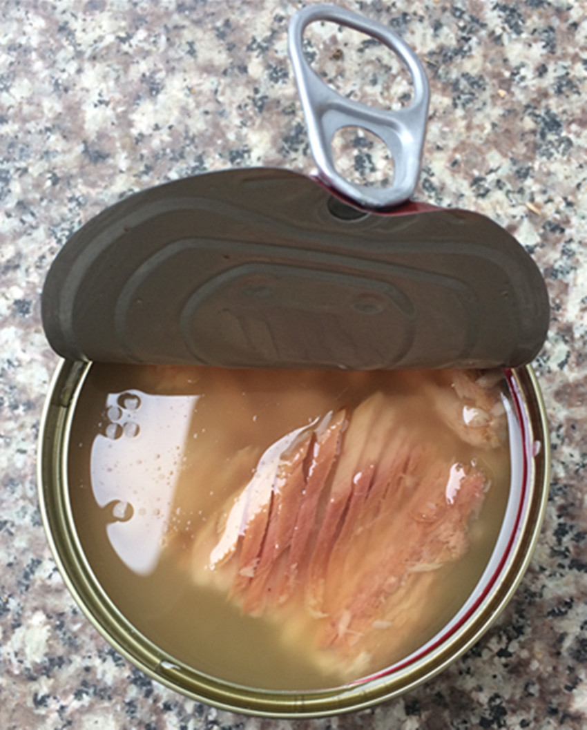 canned tuna 15.jpg