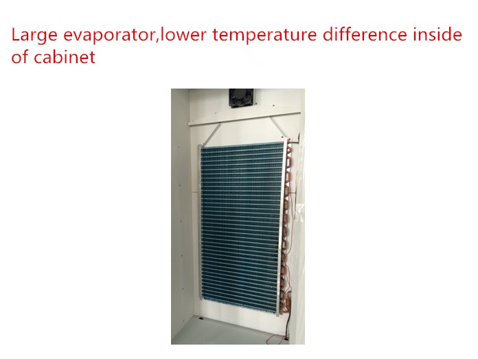 2~8 degree mini medical vaccine refrigerator