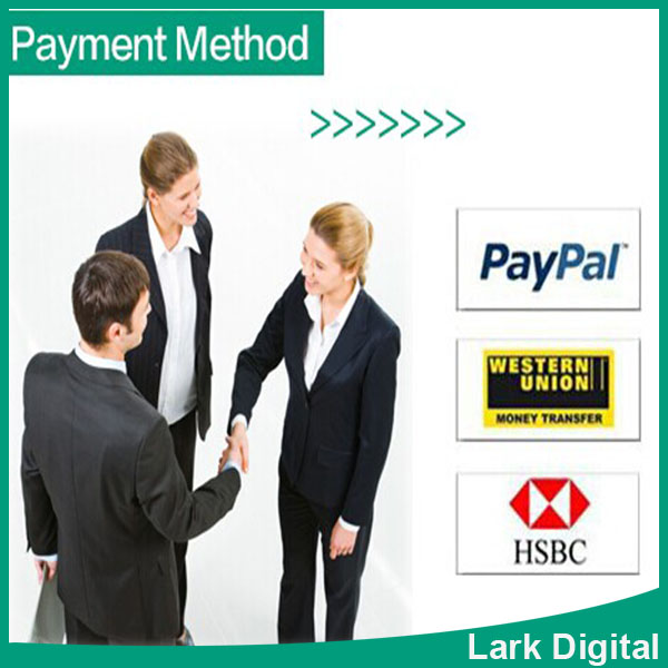 lark digital payment way.jpg