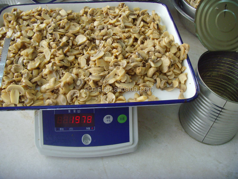 high quality canned slice mushroom A10