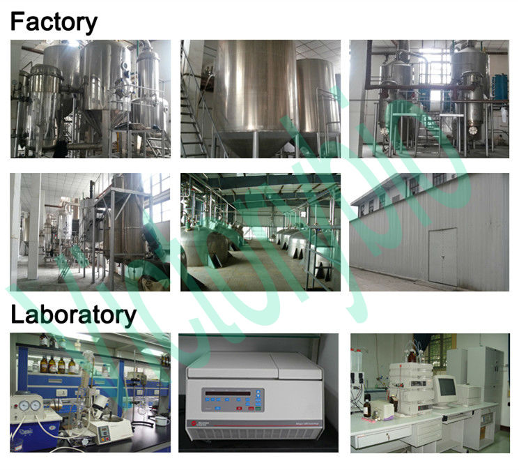 ISO factory $23 wholesale cocoa extract
