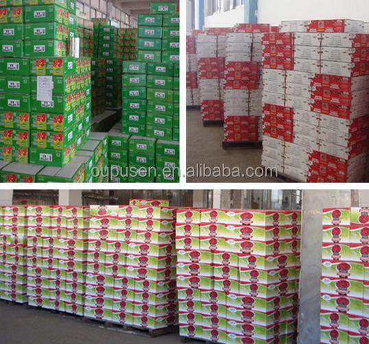 In Tinned Tomato Paste Best Tomato Paste