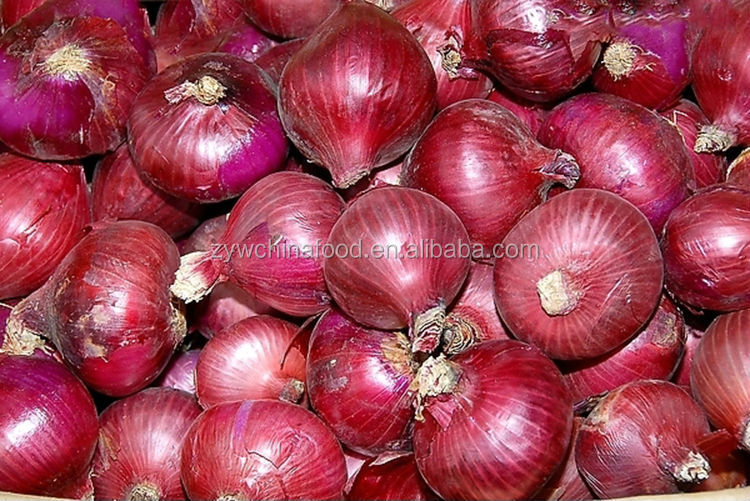 2014 New Export Bulk Red Onion Fresh Onion Most Popular
