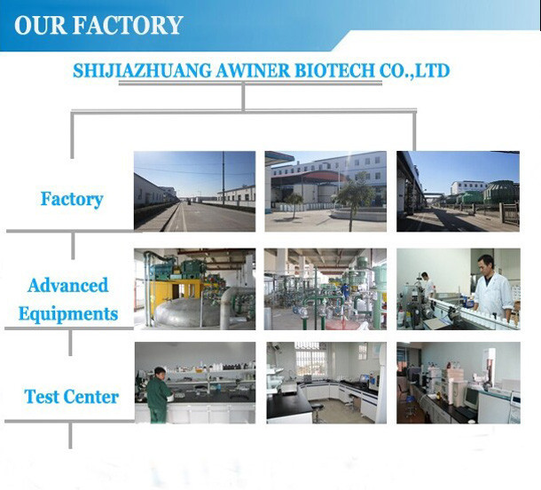 factory 2.jpg