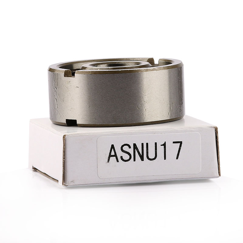 ASNU17 1