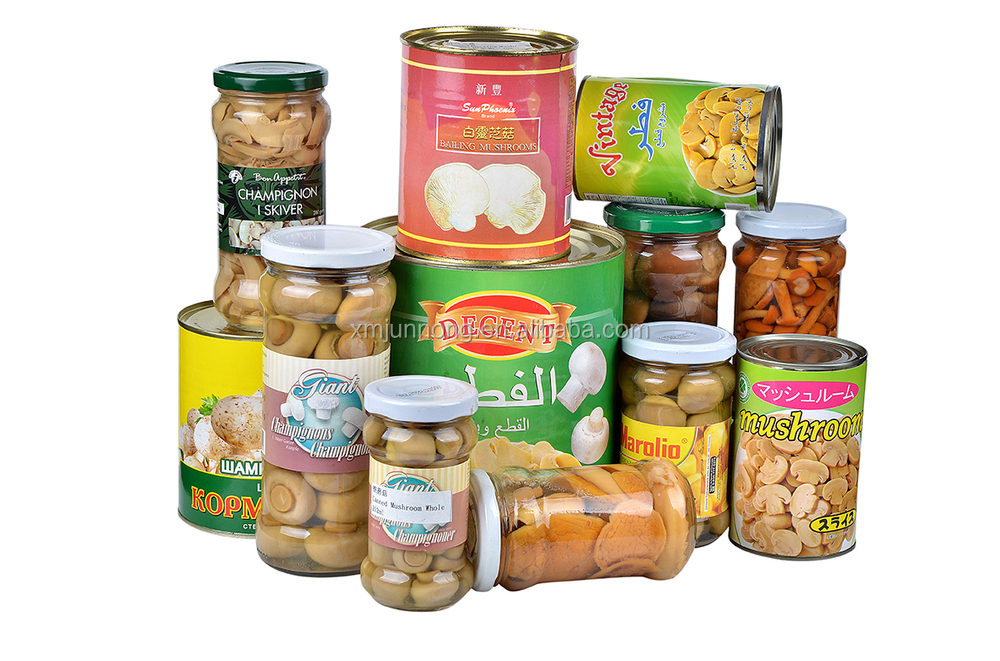 New crop canned food 36 month shelf life ISO certificated fresh button mushroom
