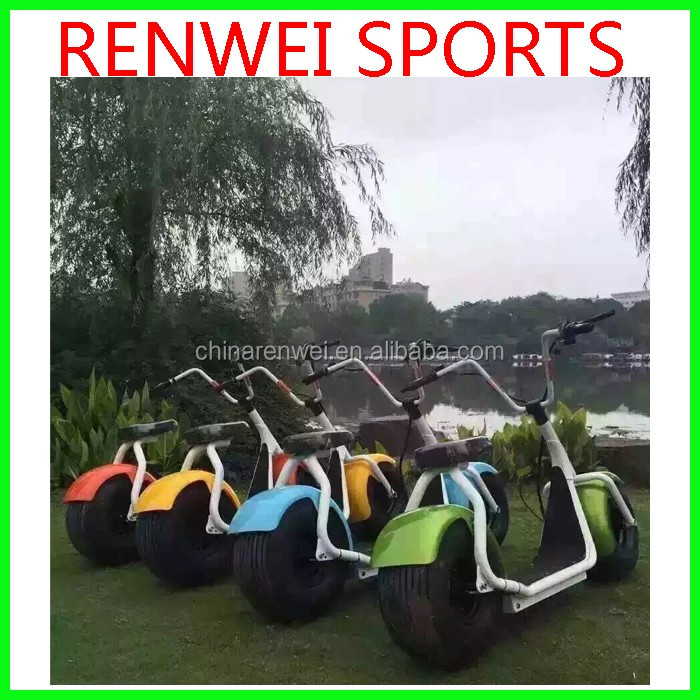 Renwei Electric bike-2.jpg