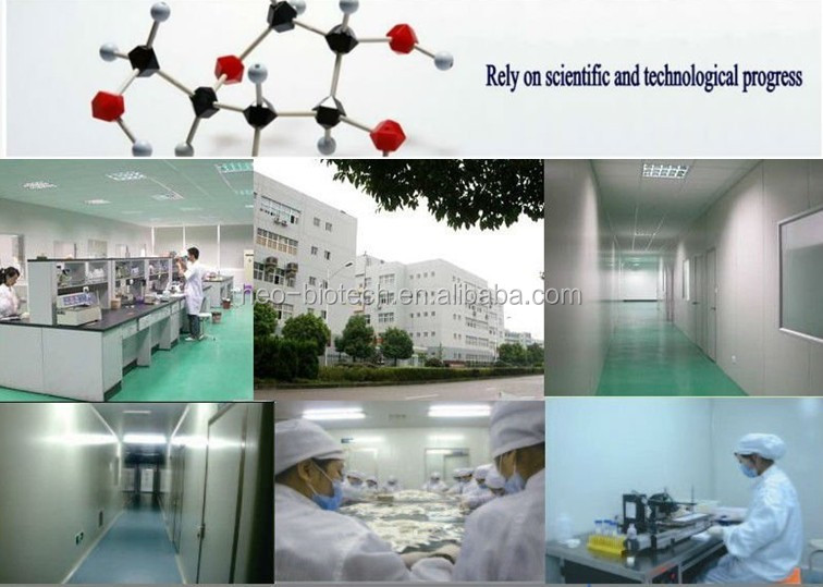 ・isoce女性迅速尿テストキット超早期発見の妊娠hcgテスト( 人気の正確な敏感安く製造)仕入れ・メーカー・工場