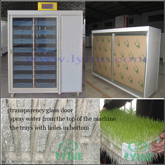 System/hydroponic Irrigation System/hydroponic Automatic System - Buy ...
