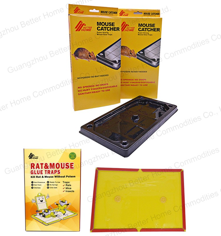 mouse-glue-board0003