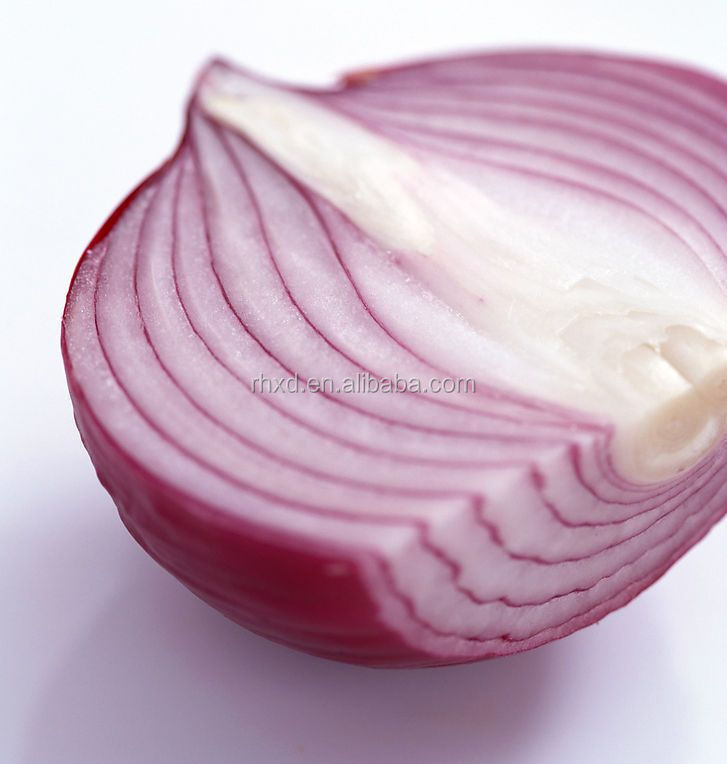 2014 new crop onion seeds for sale