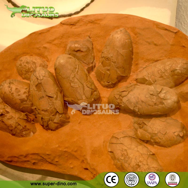 Fossil Dinosaur Egg For Sale Buy Dinosaur Egg For Sale,Fossil