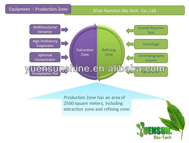 Tea polyphenol instant green tea extract powder