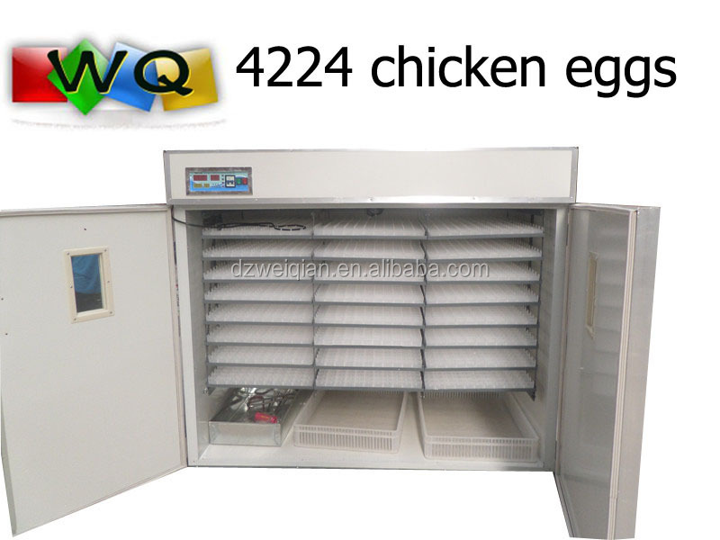 large incubator for eggs