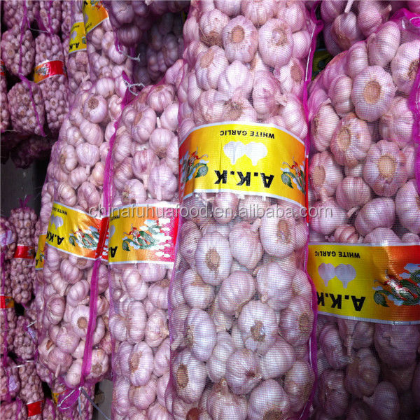 Fresh Garlic 20kg/mesh Bag