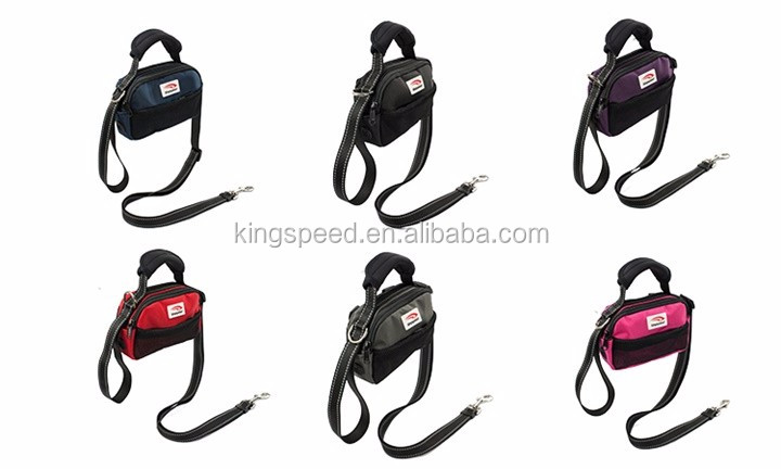 dog leash with accessory pouch