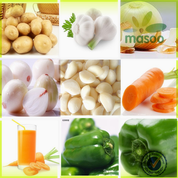 2014 new crop fresh seasonable vegetables plush carrot /carrot exporter in China