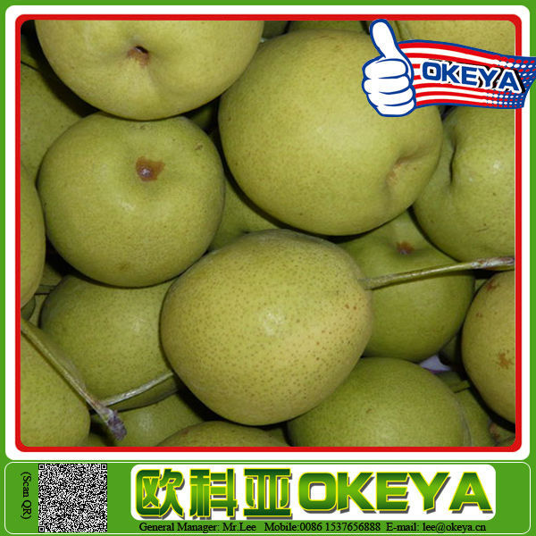 Top Quality Sweet Juicy pear & sea coconut water