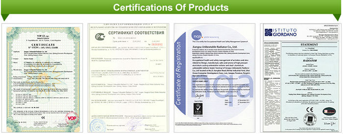 Cerohs認証取得の高品質の熱い販売壁- マウントされているバスタオル掛け仕入れ・メーカー・工場