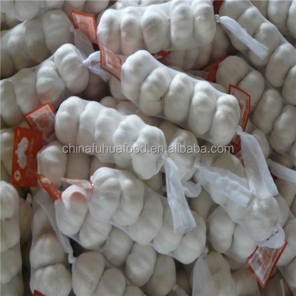 Good Quality Fresh Garlic 5.0cm