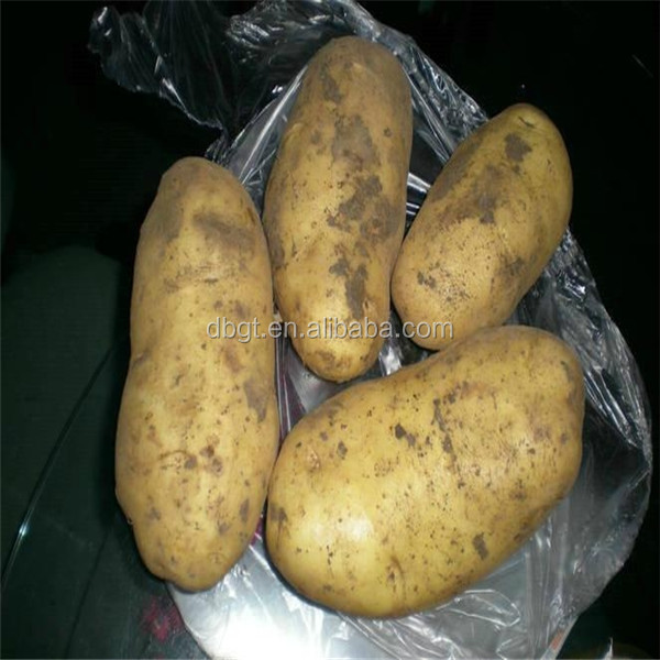 types of potatoes/new type potato product