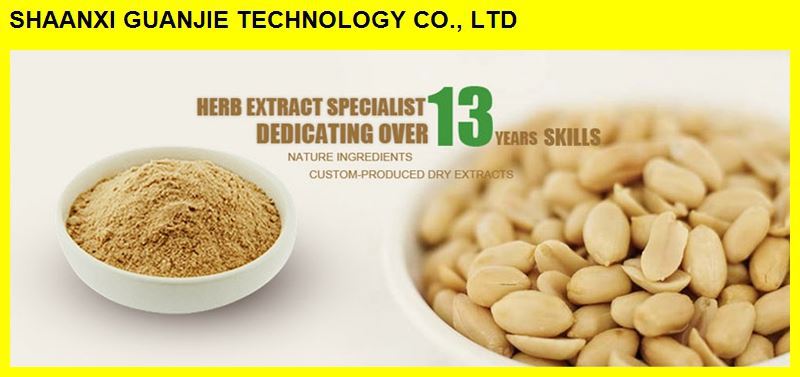 High Quality Best Price Cocoa extract