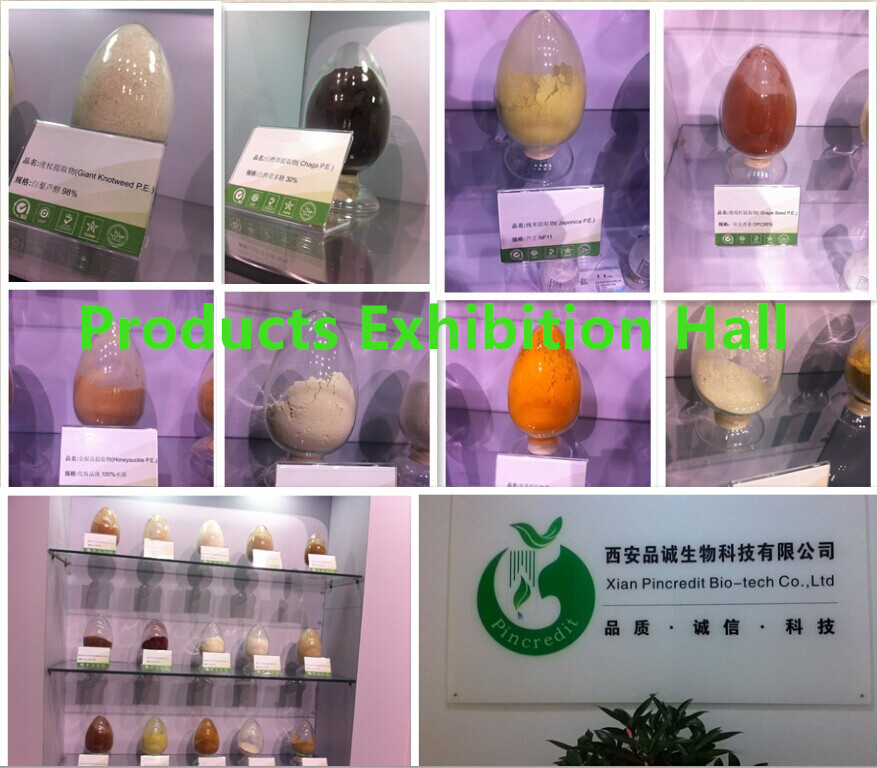 Pure piperine extract piperine 50% from black pepper extract
