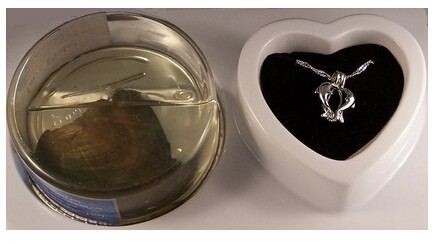 MYSTIC KISSING DOLPHINE WISH PEARL3.jpg