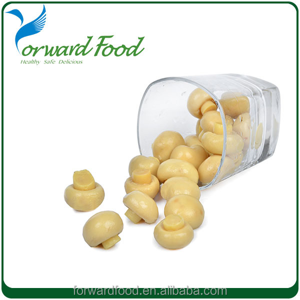 400g,800g Canned Mushroom Sliced