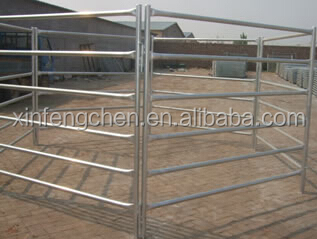cattle panel2