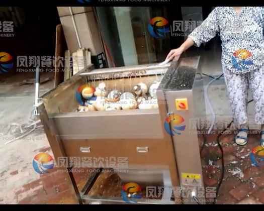 CE Approved MSTP-80 potato peeling machine ,commercial potato peeler ,onion peeling machine SKYPE: feng9915)