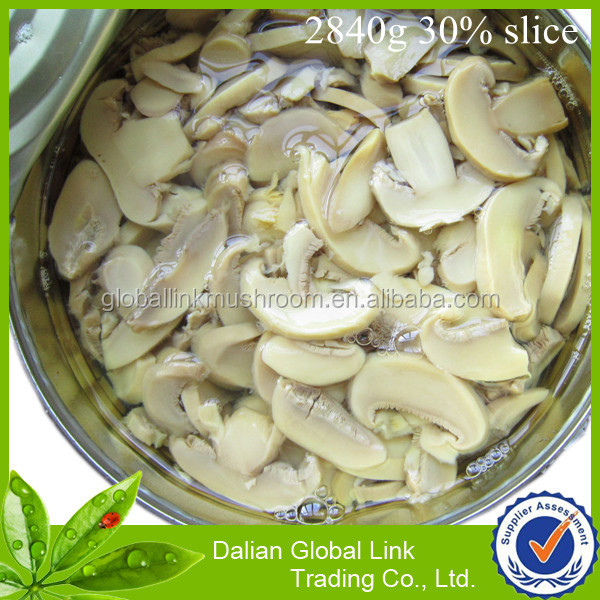 30%slice2840_