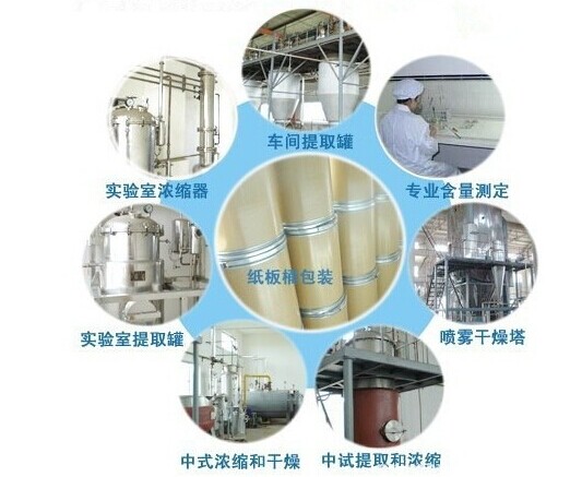 Top Quality 10% Theobromine Cocoa Extract /Theobroma cacao L