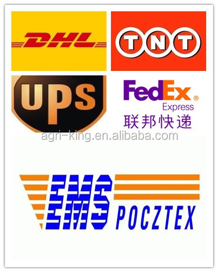 Chinese new IQF & Frozen onion flakes