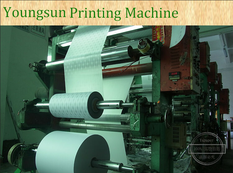 paper machine 01.jpg