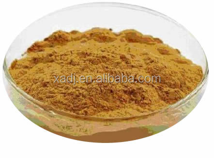 Pure Herb Extract Tea Extract,Green Tea Extract Powder