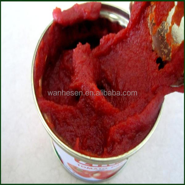 kosher food companies 800g canned tomato sauce supplier in china with good quality